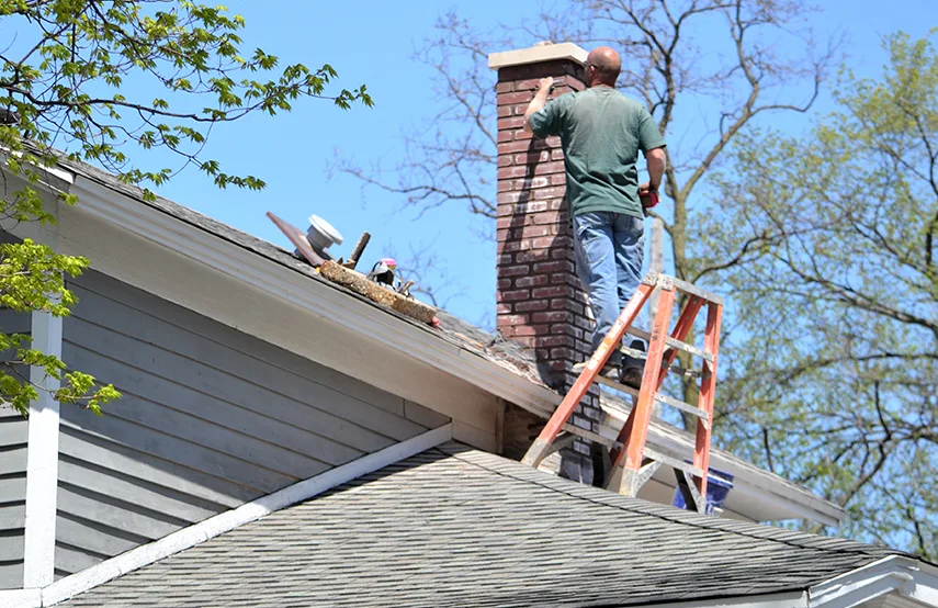 Chimney & Fireplace Inspections Services in Rose Hill, VA